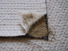 膨润土防水毯
